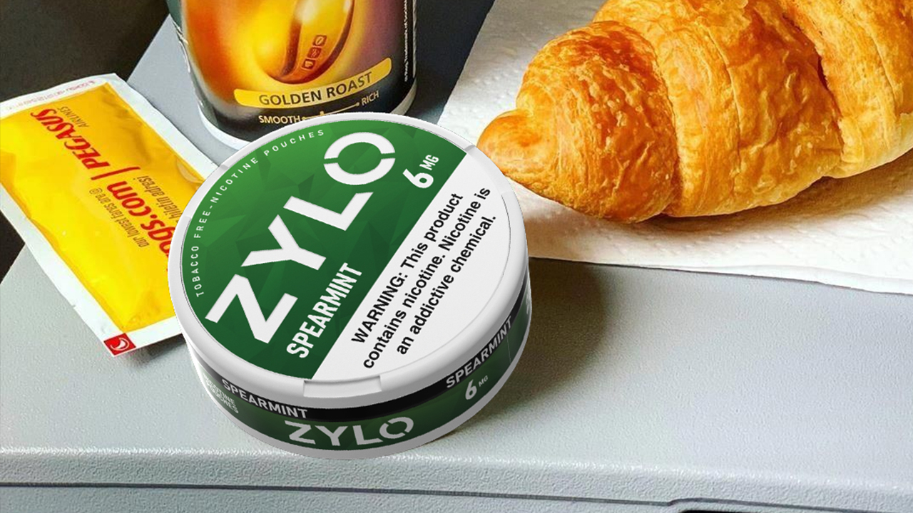 zylo nicotine pouches spearmint flavor